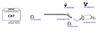 OP-EXSVG187_20260529081336.JPG