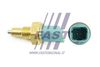 FT81034_1_1.JPG