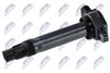 ECZ-MS-007_2-WM.JPG