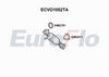ecvo1052ta.JPG
