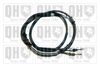 QH_BC3873.JPG