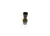 Bosch Fuel Injector 0261500331