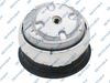 510461.JPG