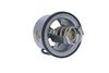 Termostat, chladivo 725020