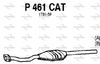 P461CAT.JPG