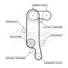 BORG & BECK Water Pump & Timing Belt Kit BTW1052