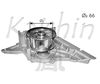 WPK381.JPG