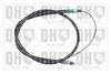 QH_BC3937.JPG