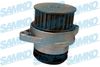 WP0660.JPG