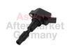 2503977_2.JPG
