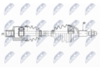 NPW-CH-110_9-WM.PNG