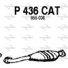 P436CAT.JPG