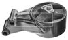 BEM4358_1727945.JPG
