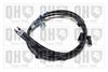 QH_BC4450.JPG