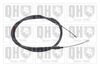 QH_BC4086.JPG