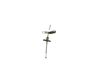 1987477631PH19WHCO0000.JPG