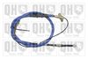 QH_BC3581.JPG