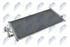 CCS-MS-002_1-WM.JPG