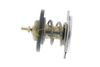 термостат, охладителна течност