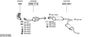 SYS10169.JPG