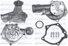 H240.BMP