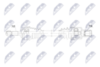 npw-pe-137_9-wm.PNG