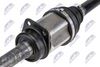npw-fr-204_3-wm.JPG