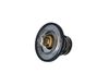 Termostat, chladivo 725174