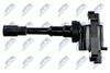 ECZ-MS-005_3-WM.JPG
