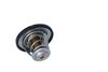 Termostat, chladivo 725174