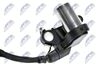 ECP-TY-008_2-WM.JPG