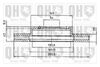 QH_BDC4418_1.JPG
