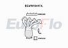 ecvw1041ta.JPG