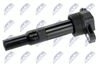 ECZ-HY-513_2-WM.JPG