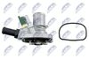 CTM-FT-003_3-WM.JPG