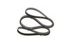 Bosch V-Ribbed Belt 1 987 947 956 (1987947956)