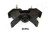 GOM-2646_1.JPG