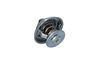 Termostat, chladivo 725117