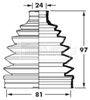 BCB6010_291980.JPG