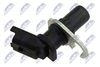 ECP-CT-019_2-WM.JPG