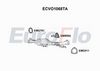 ecvo1068ta.JPG