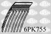 6PK755.JPG