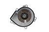 WATER PUMP_529517_01.JPG