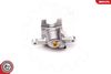 SKV_34SKV363_WM_04.JPG