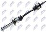 npw-vw-121_1-wm.JPG
