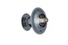 Termostat, chladivo 725214