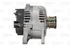 ALTERNATOR_439561_03.JPG
