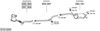 SYS14266.JPG