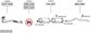 SYS12510.JPG
