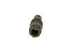 Bosch Pressure Relief Valve, common rail system F 00R 0P2 437